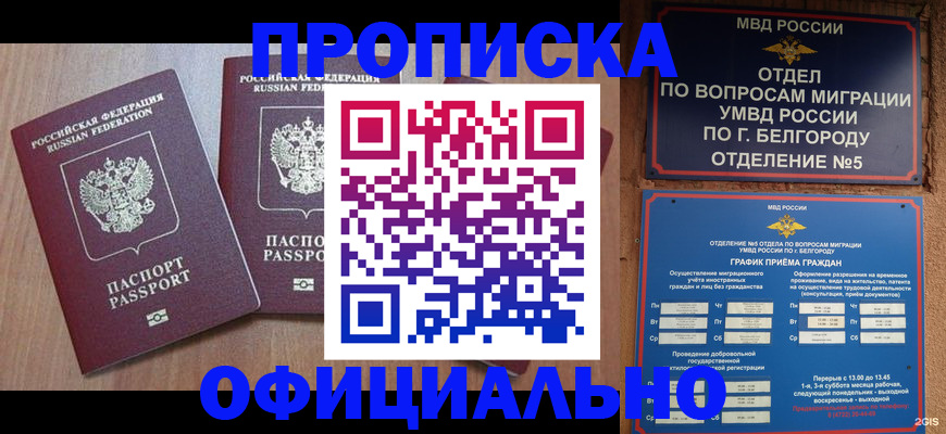 найти адрес прописки в Киреевске